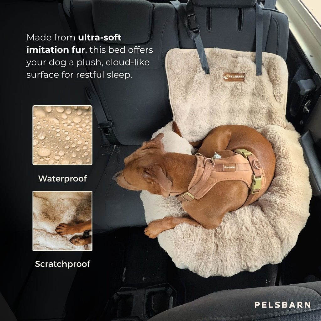 Luxurious Cozy Car Bed ( 1+1 )