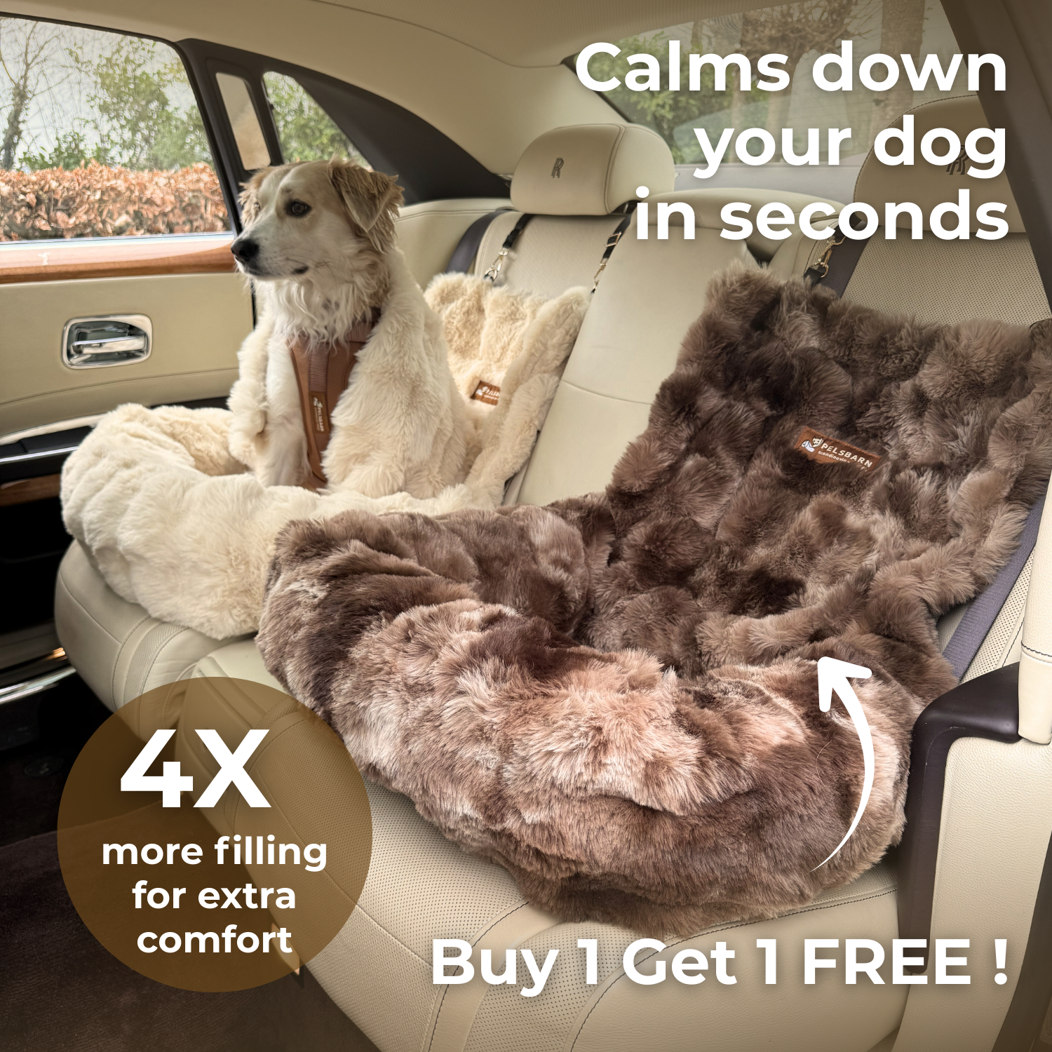 Luxurious Cozy Car Bed ( 1+1 )