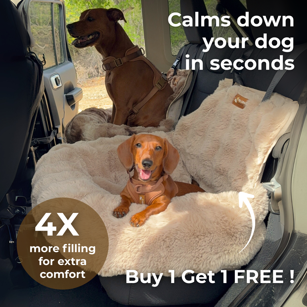 Luxurious Cozy Car Bed ( 1+1 )
