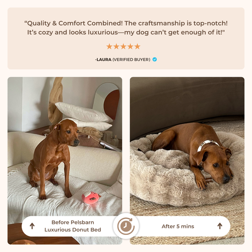 Luxurious Donut Bed 1+1