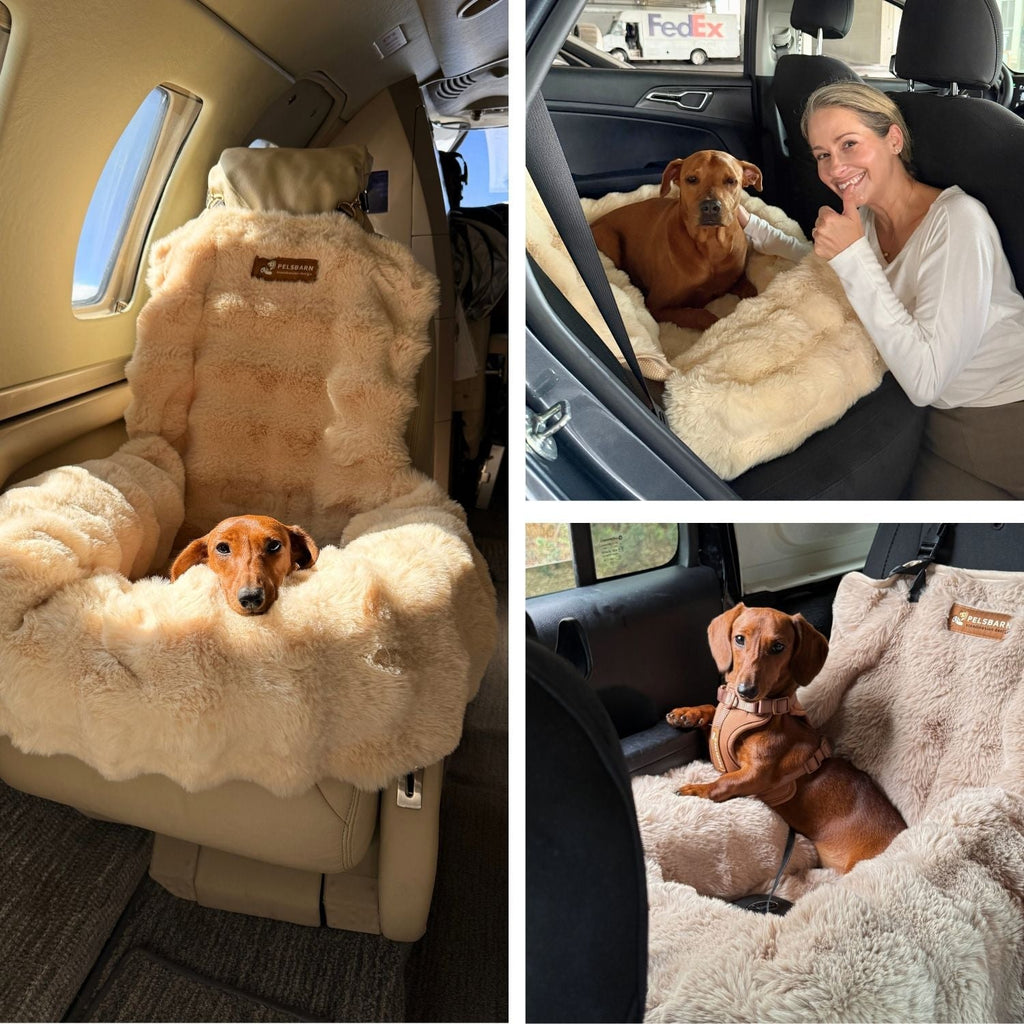 Luxurious Cozy Car Bed ( 1+1 )