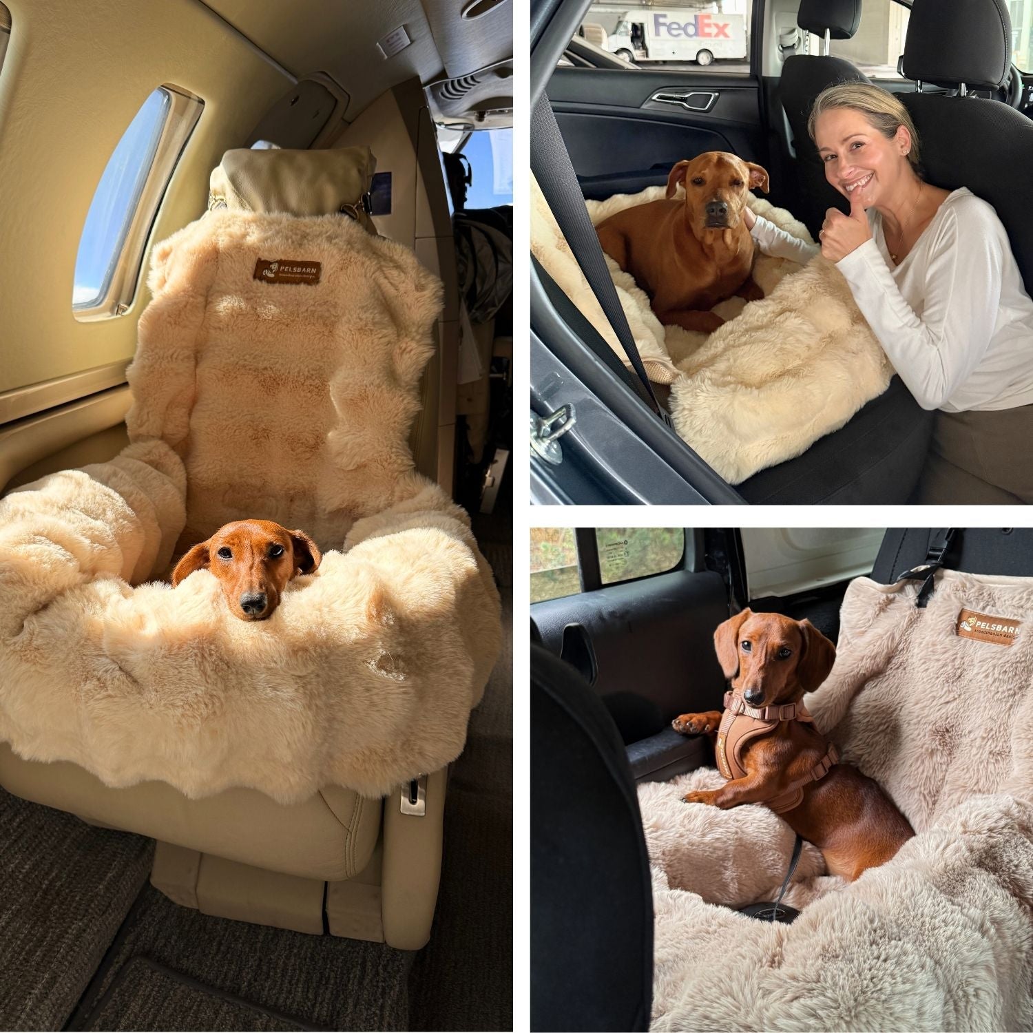 Luxurious Cozy Car Bed ( 1+1 )