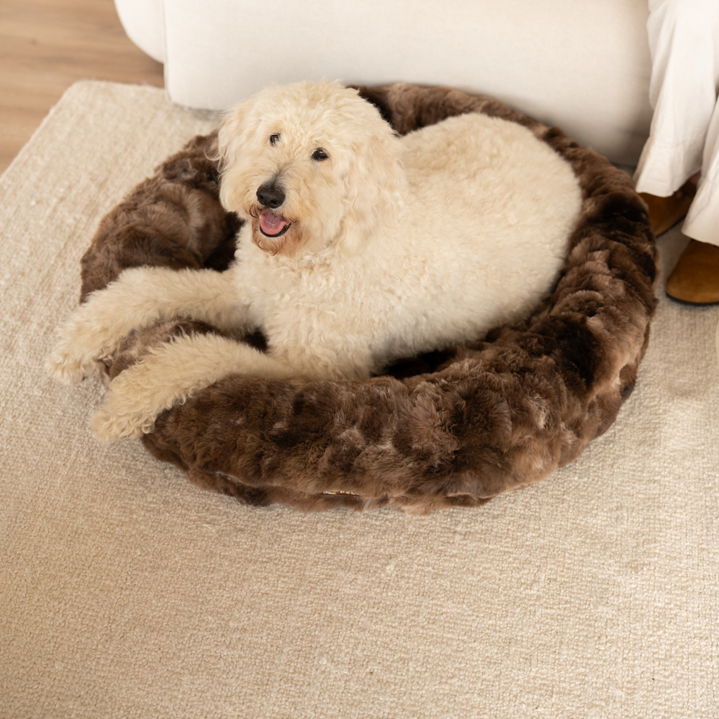 Luxurious Donut Bed 1+1