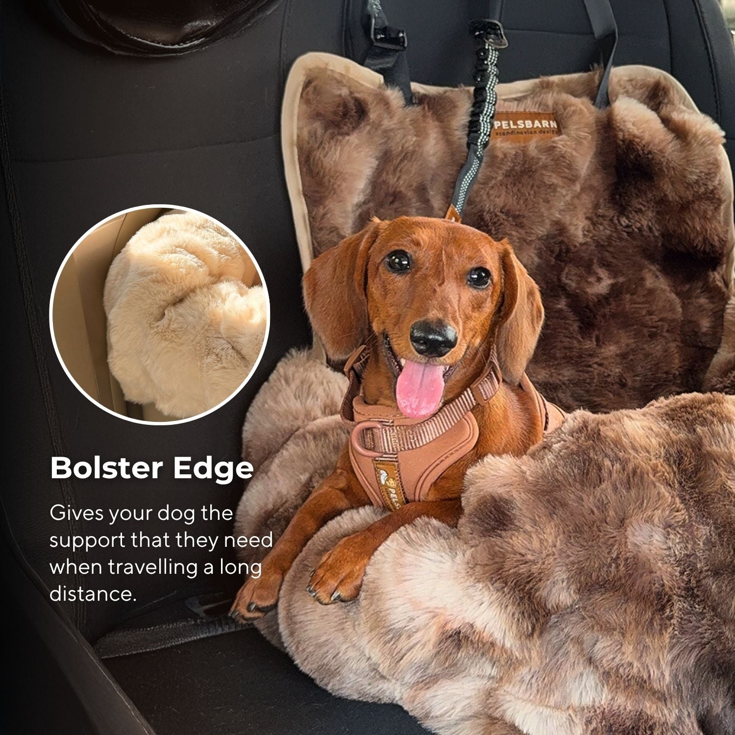 Luxurious Cozy Car Bed ( 1+1 )
