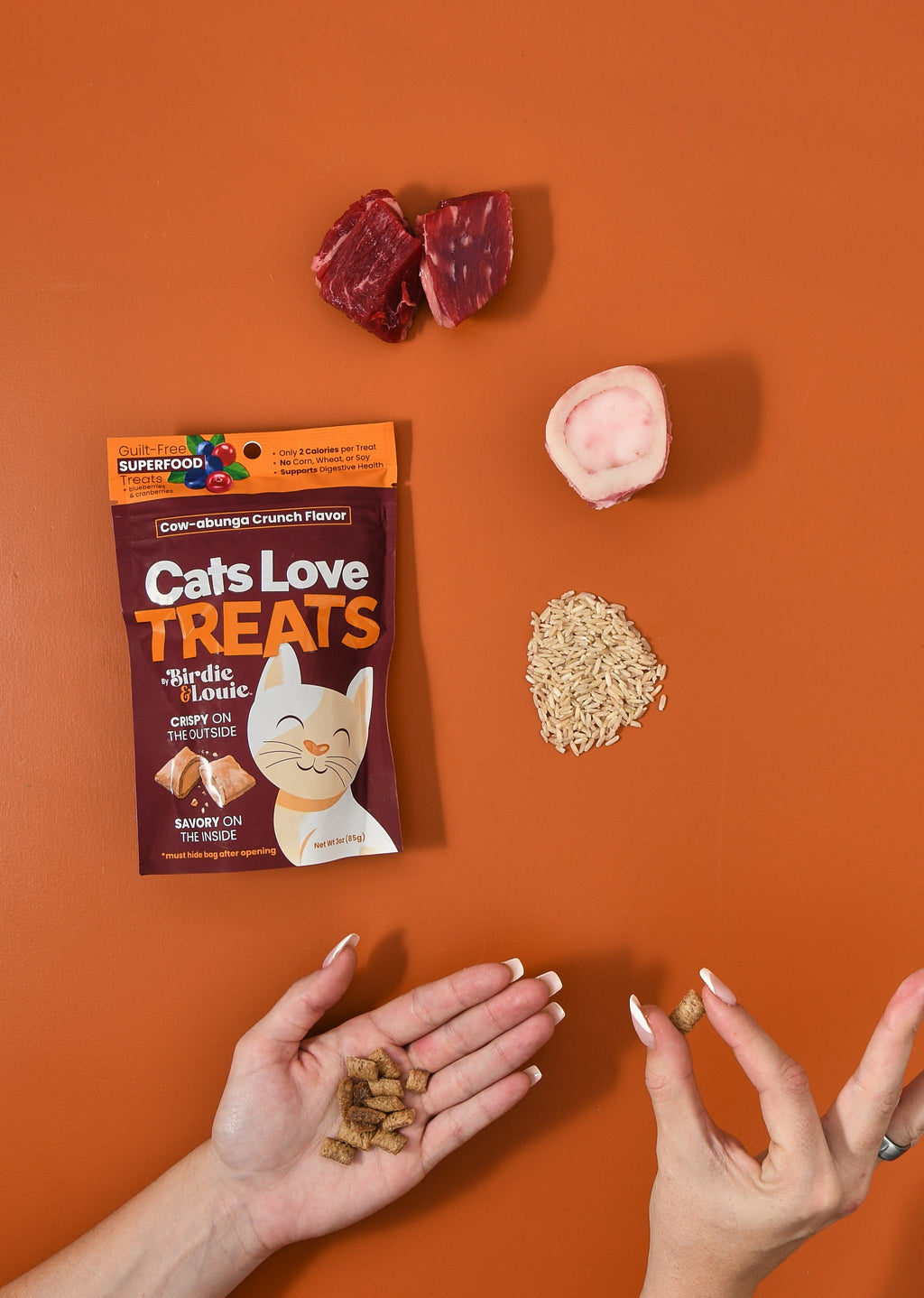Cat Treat Multipack – All 4 Cheeky Flavors