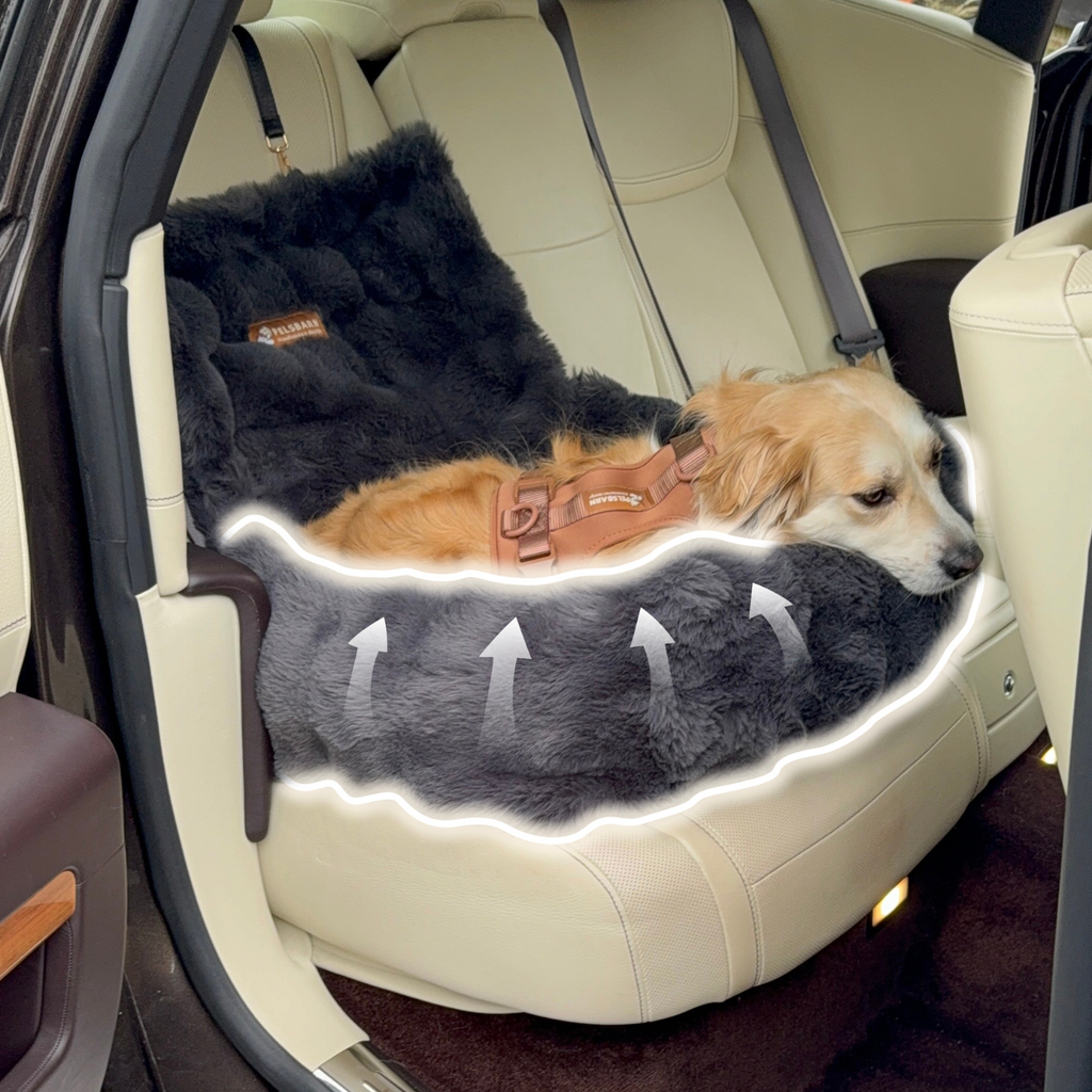 Luxurious Cozy Car Bed ( 1+1 )