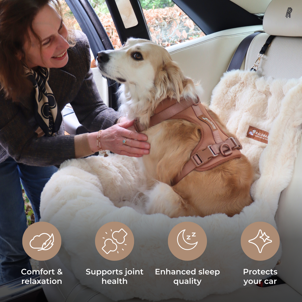 Luxurious Cozy Car Bed ( 1+1 )