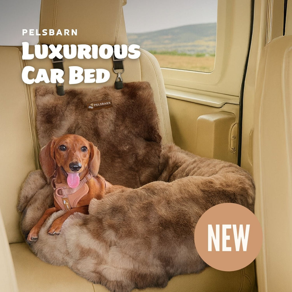 Luxurious Cozy Car Bed ( 1+1 )