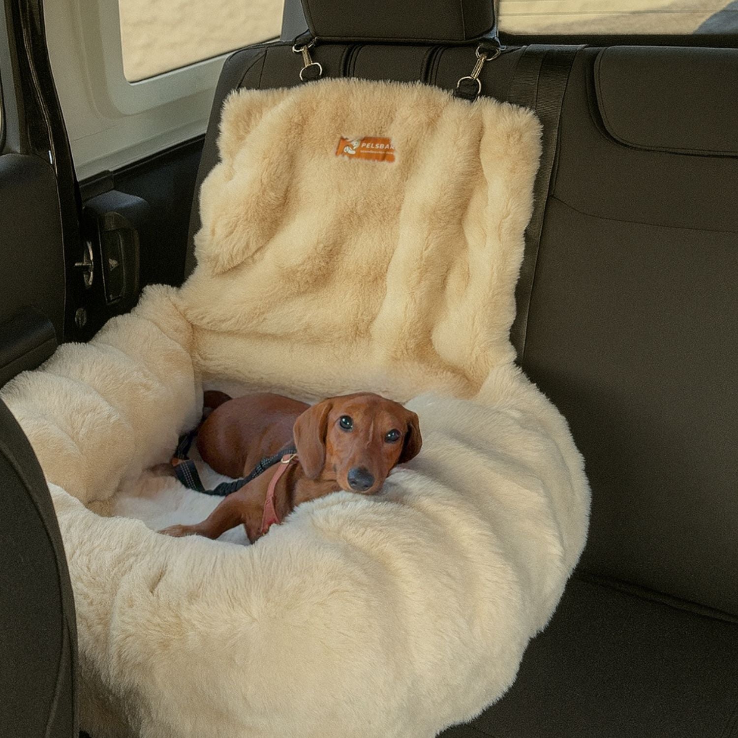 Luxurious Cozy Car Bed ( 1+1 )